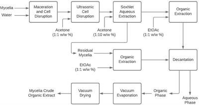 Evaluation of the Antibacterial Activity of Crude Extracts Obtained From Cultivation of Native Endophytic Fungi Belonging to a Tropical Montane Rainforest in Colombia